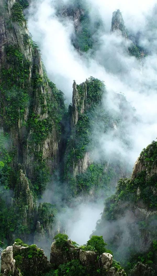 黃山又一次震驚全國！恍如人間仙境，美到極致！