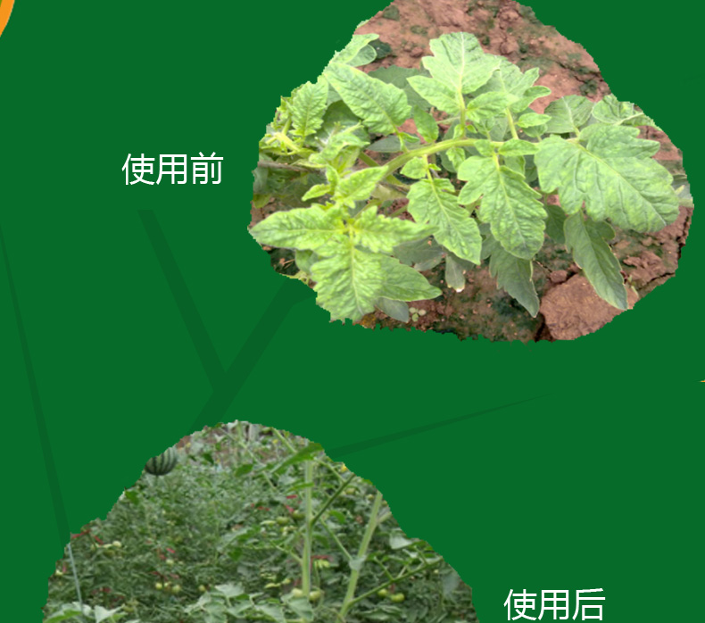 氯氟聯(lián)苯吡菌胺如何實(shí)現(xiàn)我國(guó)首家登記？